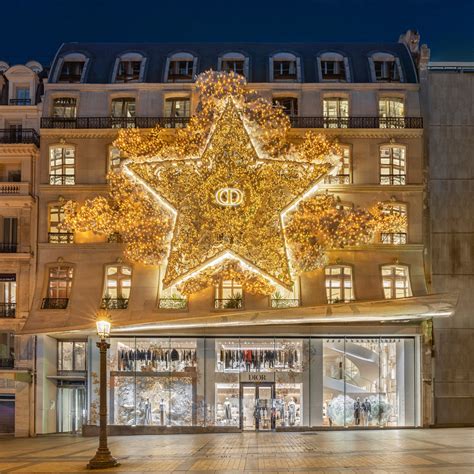 dior vitrine noel|Dior : les spectaculaires vitrines de Noël en images.